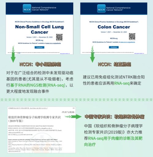 融二為一，精準(zhǔn)抗癌 燃石醫(yī)學(xué)DNA+RNA雙檢測(cè)賦能實(shí)體瘤患者——論文解讀肝癌血漿microRNA標(biāo)志物檢測(cè)報(bào)告系統(tǒng)